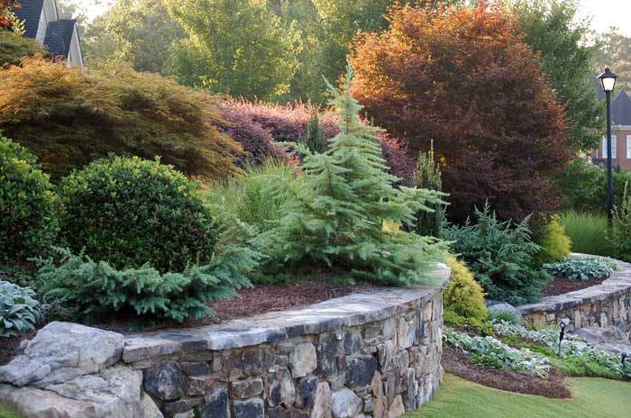 Large lawn and shrub maintenance yard along fence, trimming trees