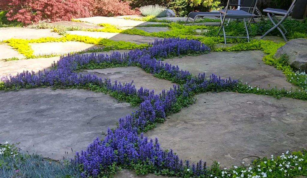 Patio with flowers